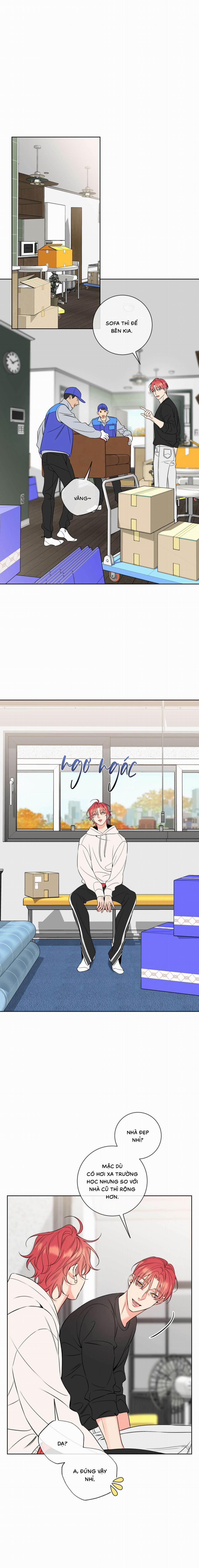 Honey Trouble 39 trang 0