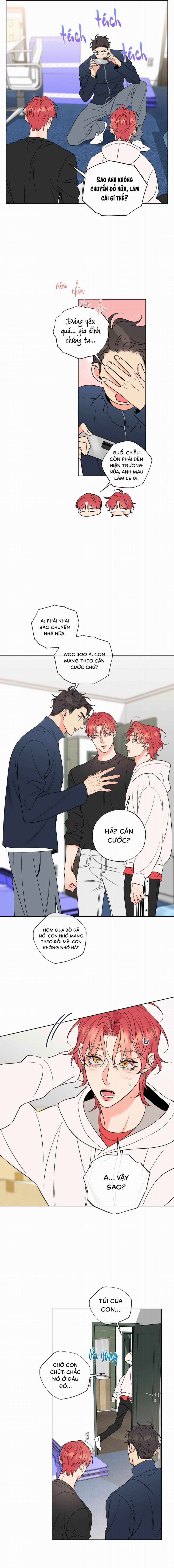 Honey Trouble 39 trang 2