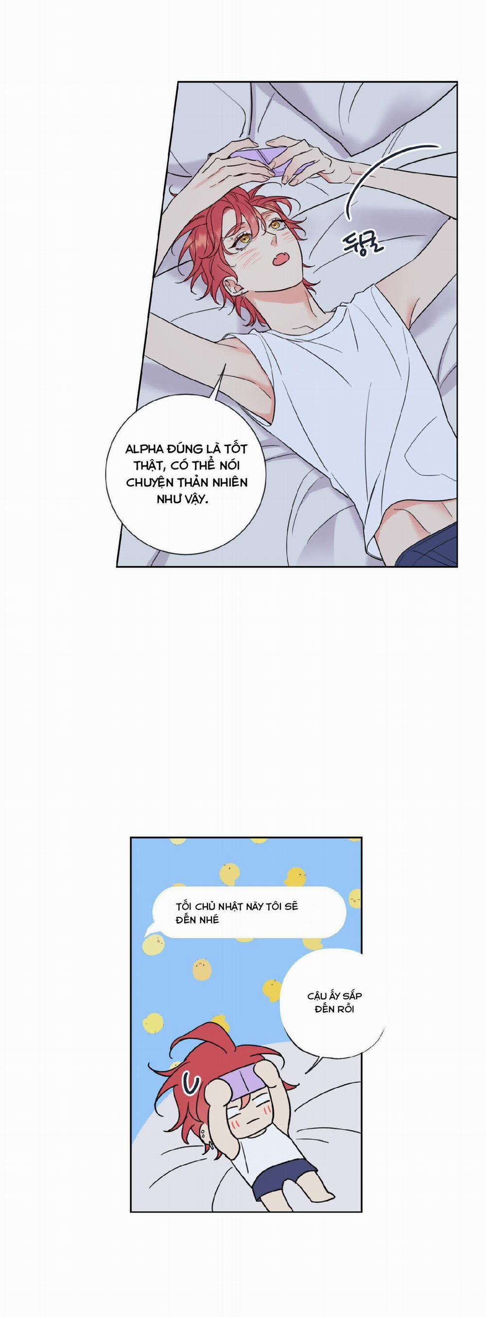 Honey Trouble 4 trang 17