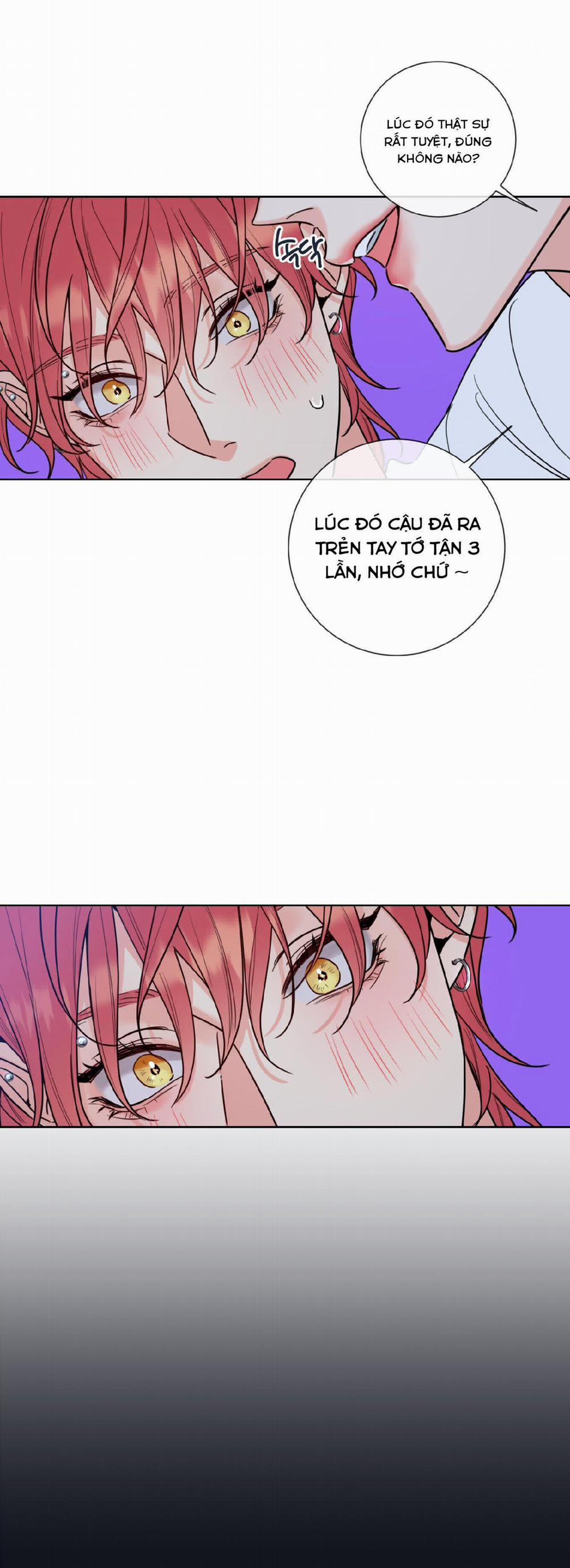 Honey Trouble 4 trang 35