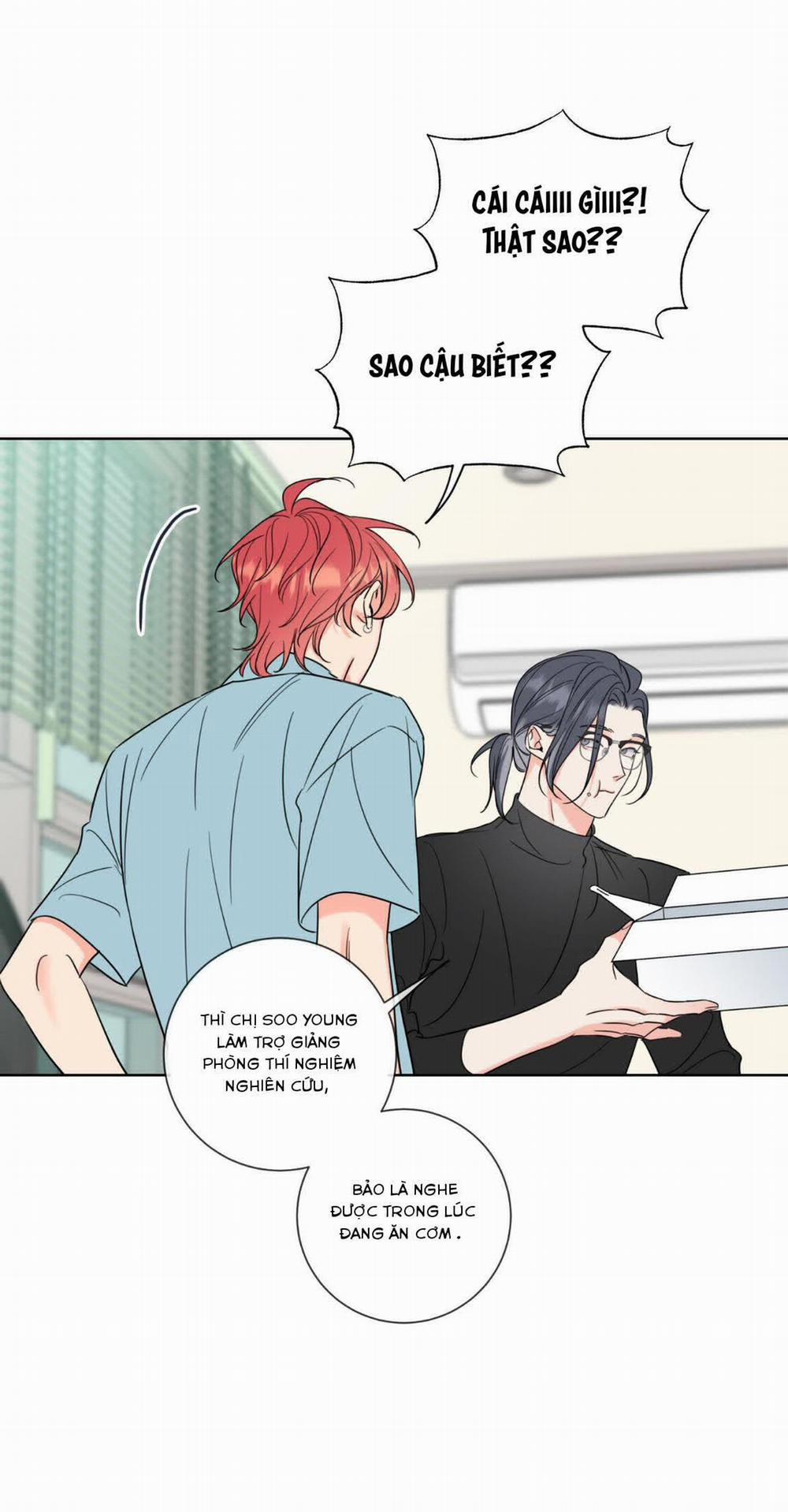 Honey Trouble 6 trang 18