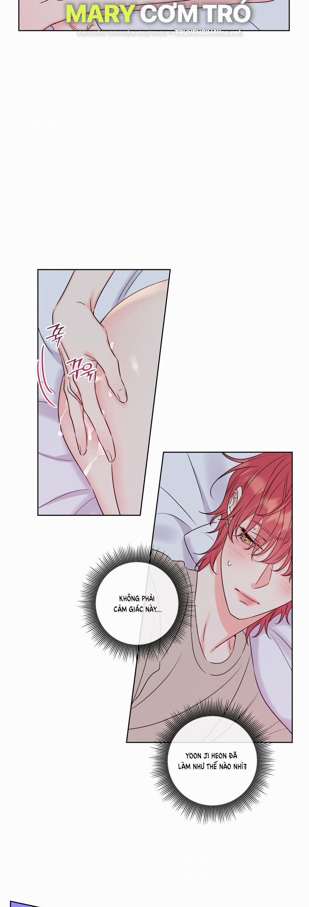 Honey Trouble 7.2 trang 4