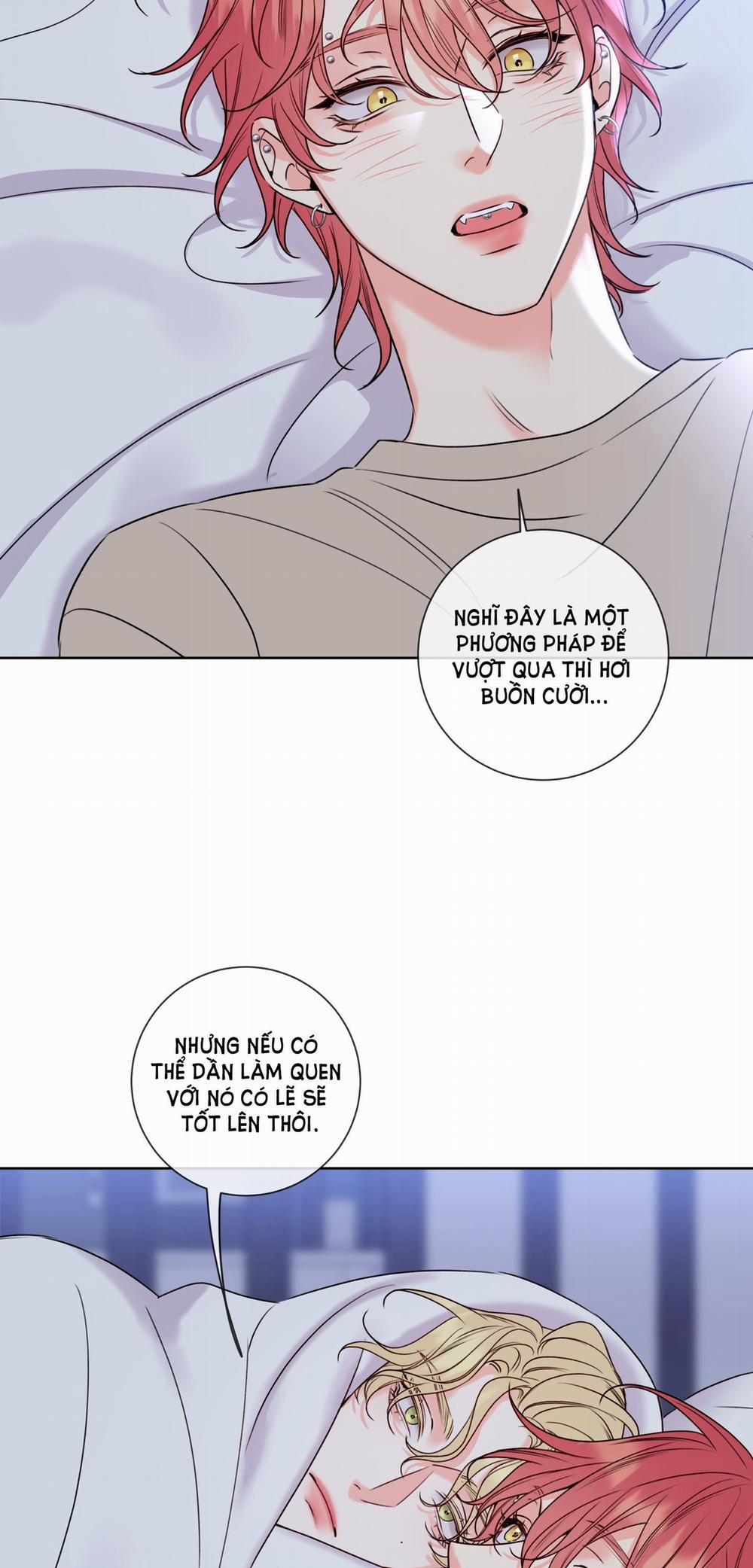 Honey Trouble 8.2 trang 8