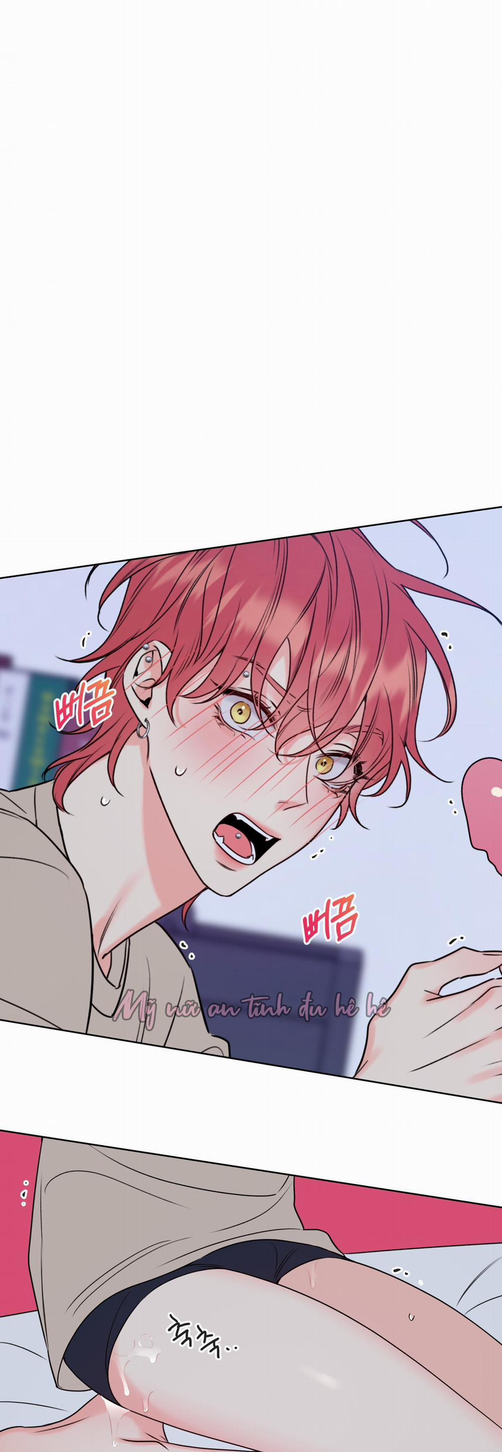 Honey Trouble 8 trang 0