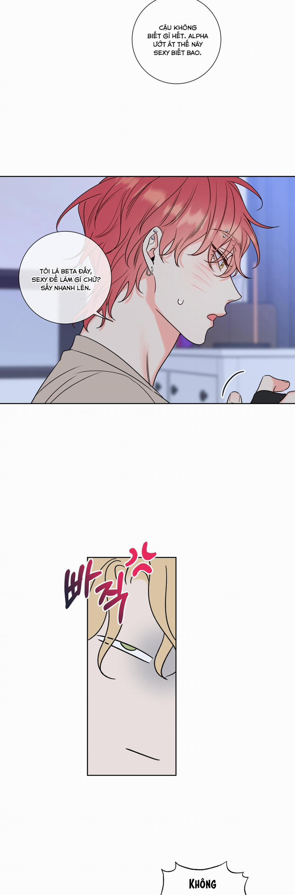 Honey Trouble 8 trang 16