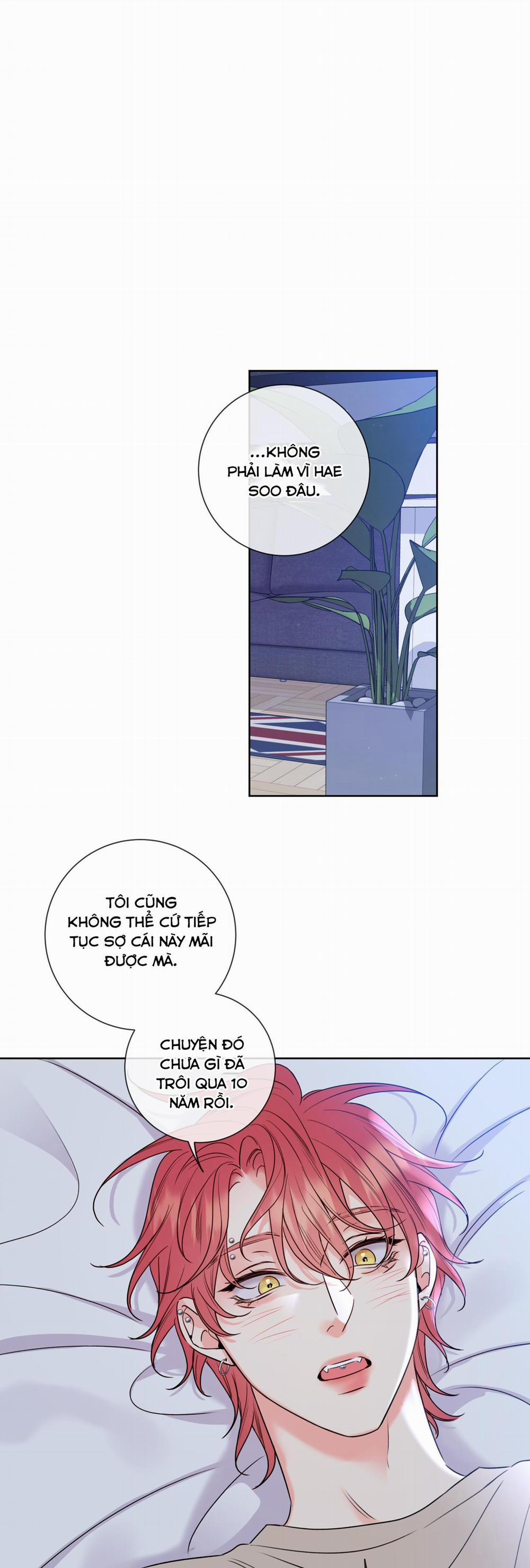 Honey Trouble 8 trang 26