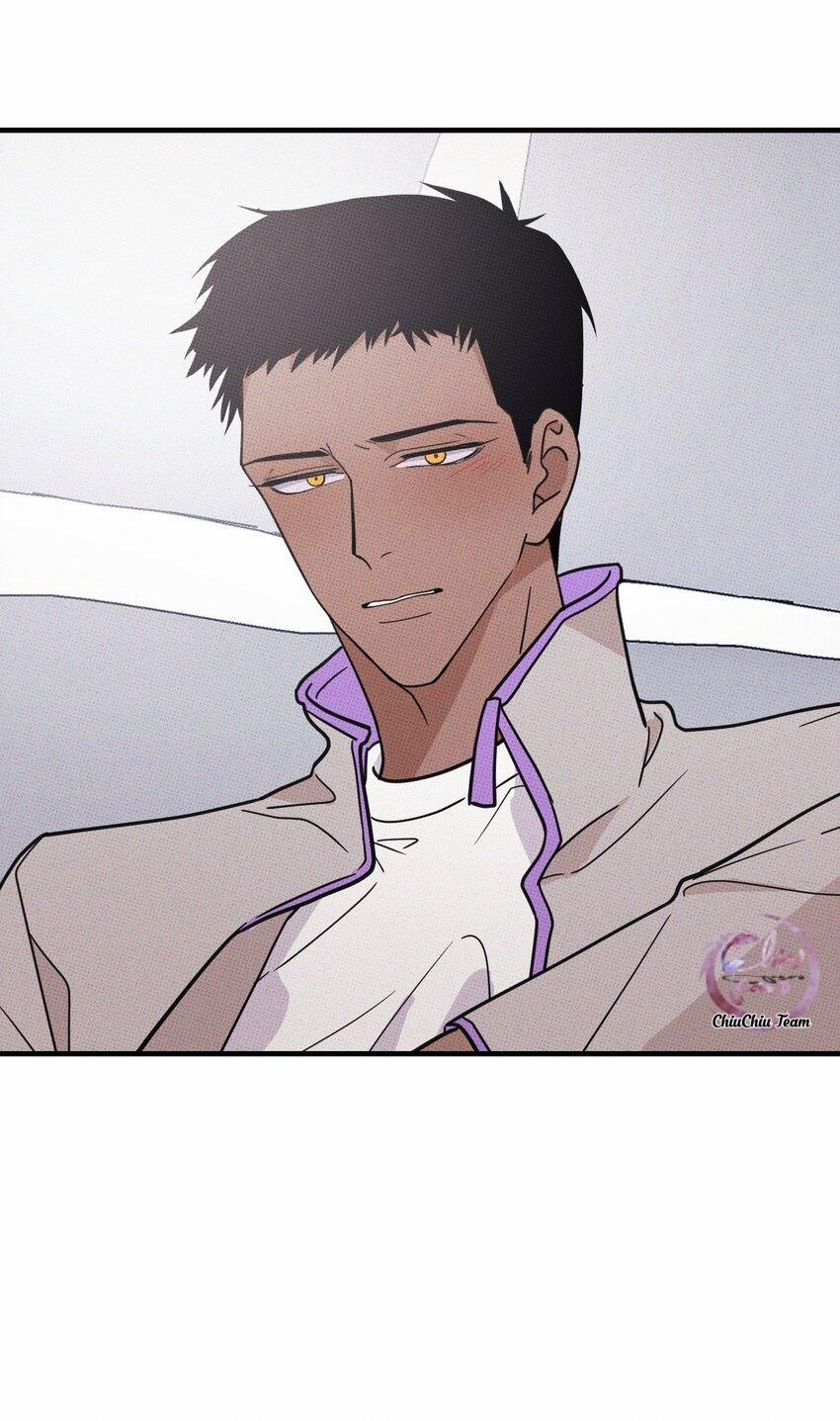 Hộp Bánh Quy Định Mệnh 11 trang 42