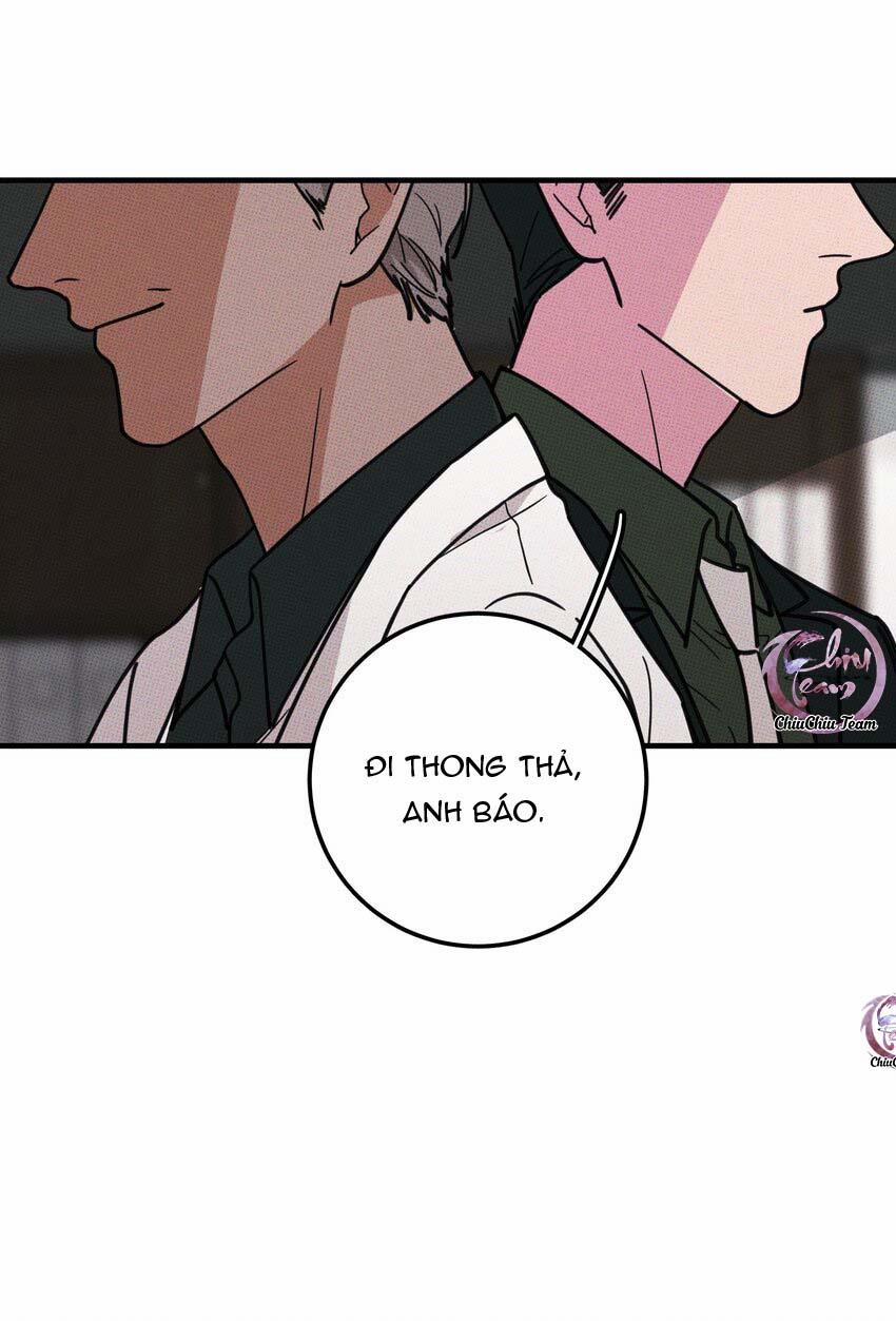 Hộp Bánh Quy Định Mệnh 12 trang 33