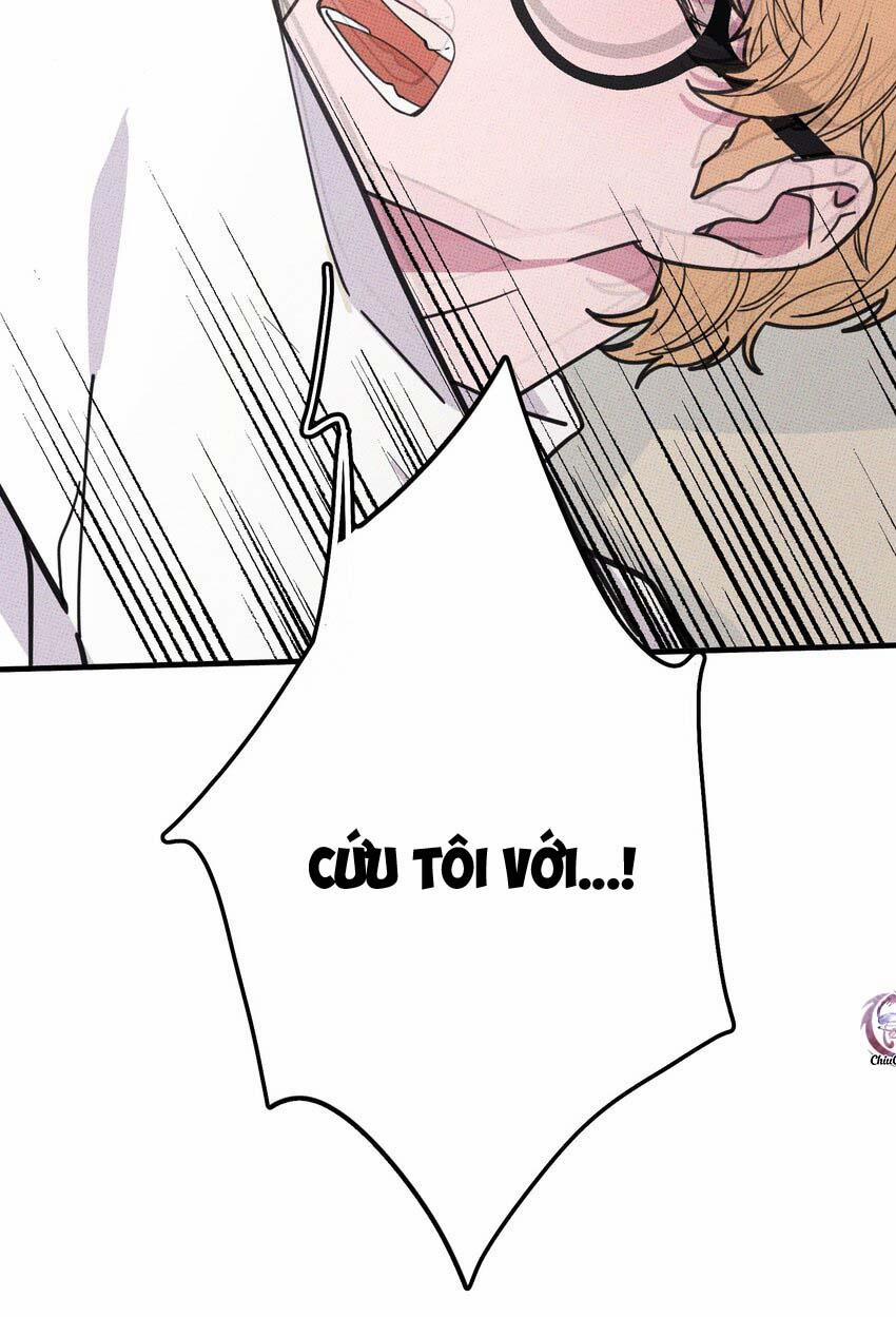 Hộp Bánh Quy Định Mệnh 13 trang 1