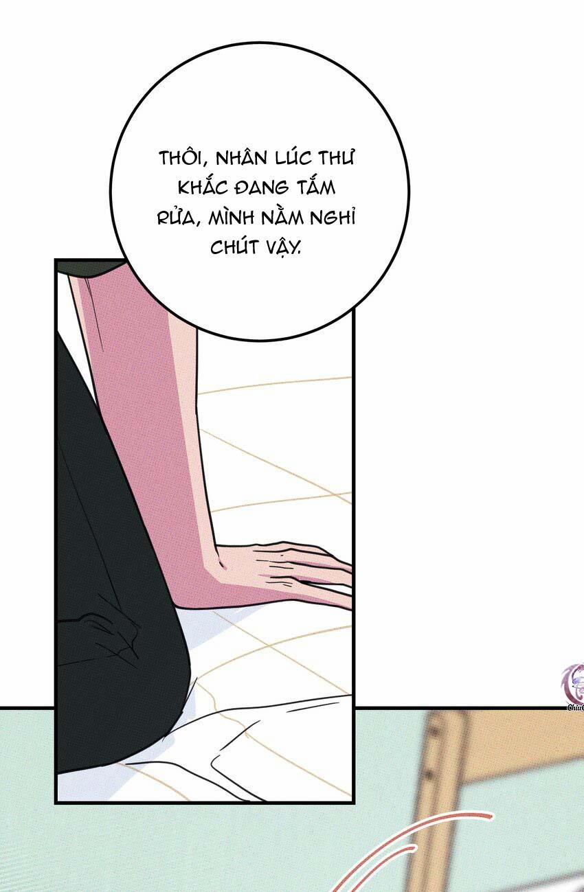 Hộp Bánh Quy Định Mệnh 13 trang 11