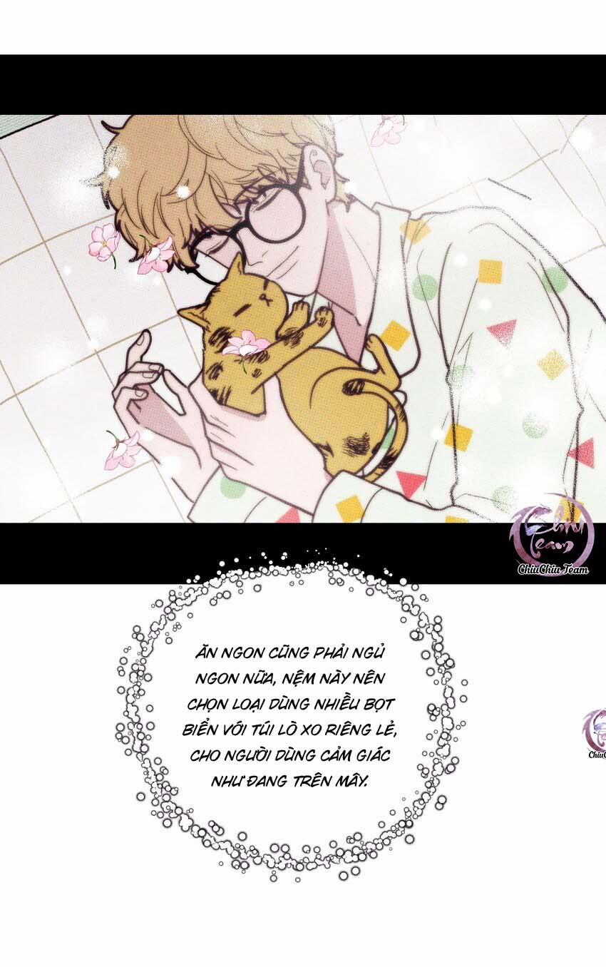 Hộp Bánh Quy Định Mệnh 13 trang 13