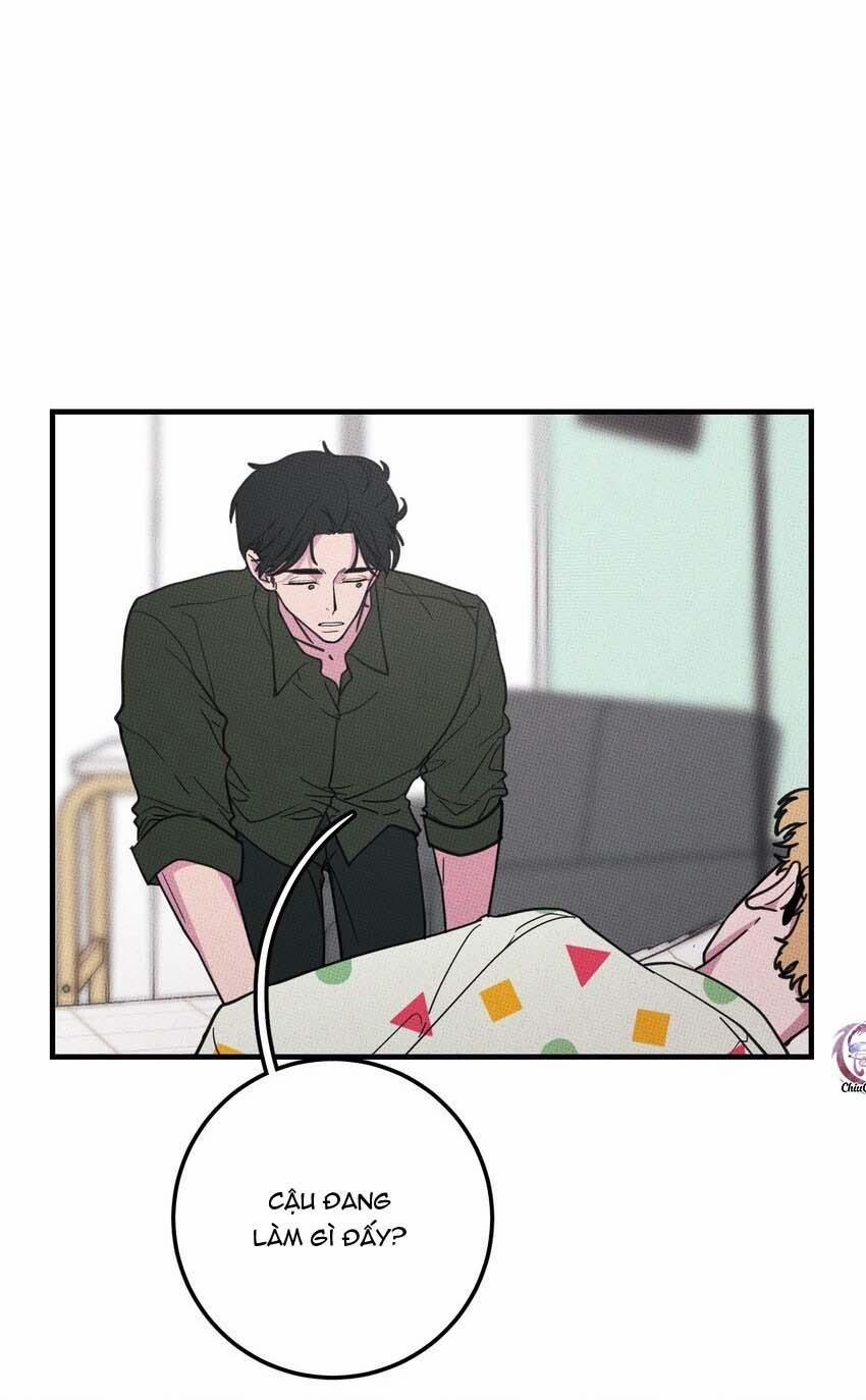 Hộp Bánh Quy Định Mệnh 13 trang 14