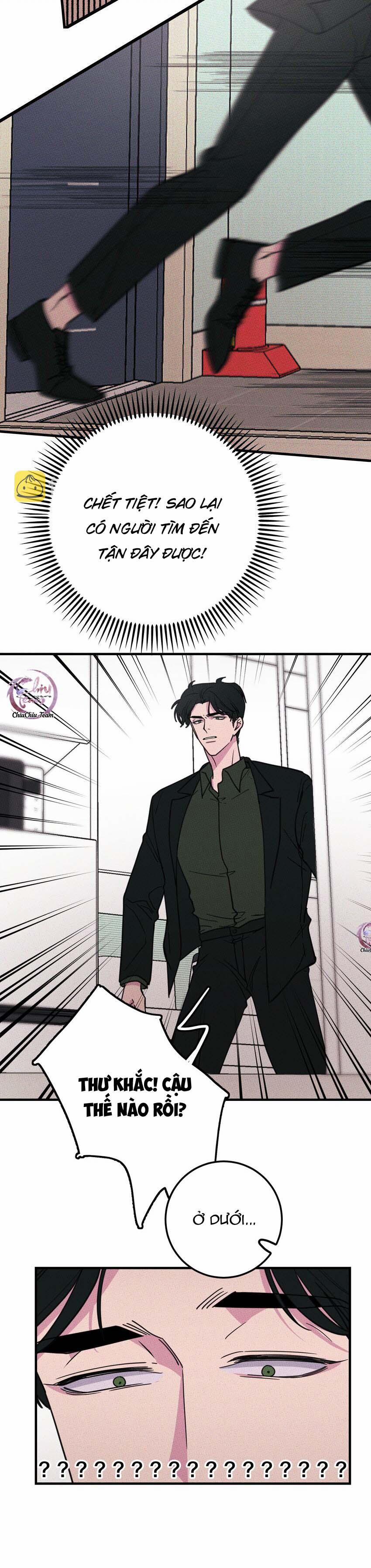 Hộp Bánh Quy Định Mệnh 13 trang 3