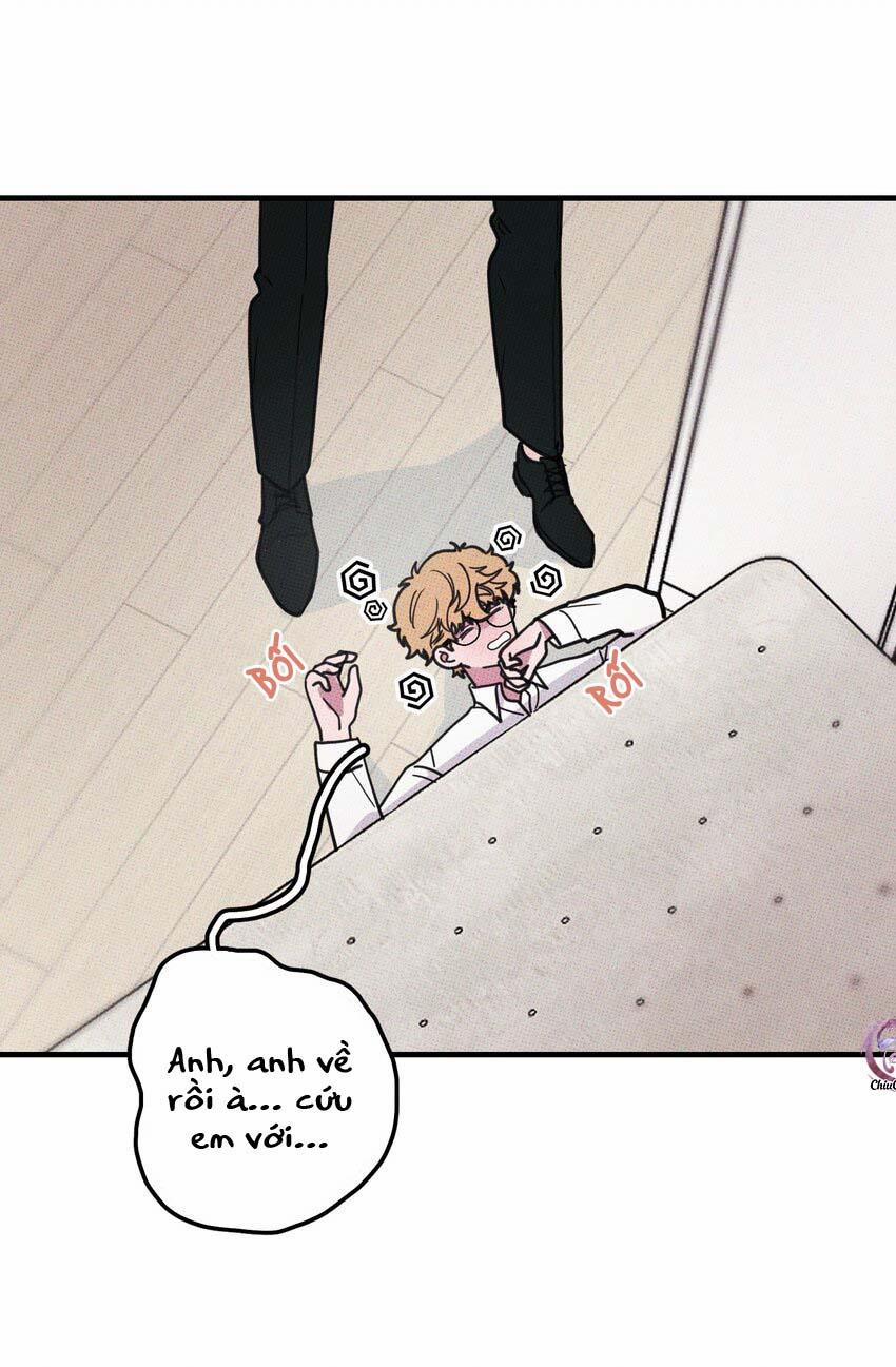 Hộp Bánh Quy Định Mệnh 13 trang 4