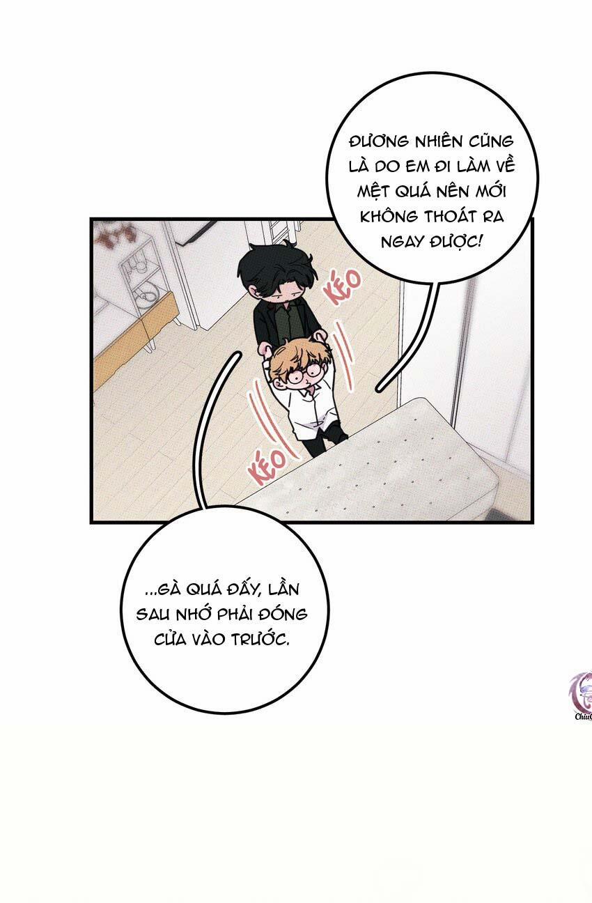 Hộp Bánh Quy Định Mệnh 13 trang 8