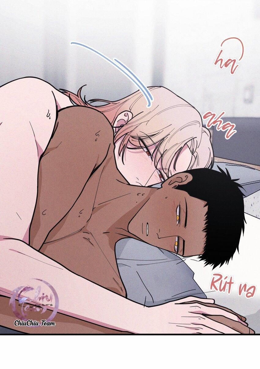 Hộp Bánh Quy Định Mệnh 14 trang 3