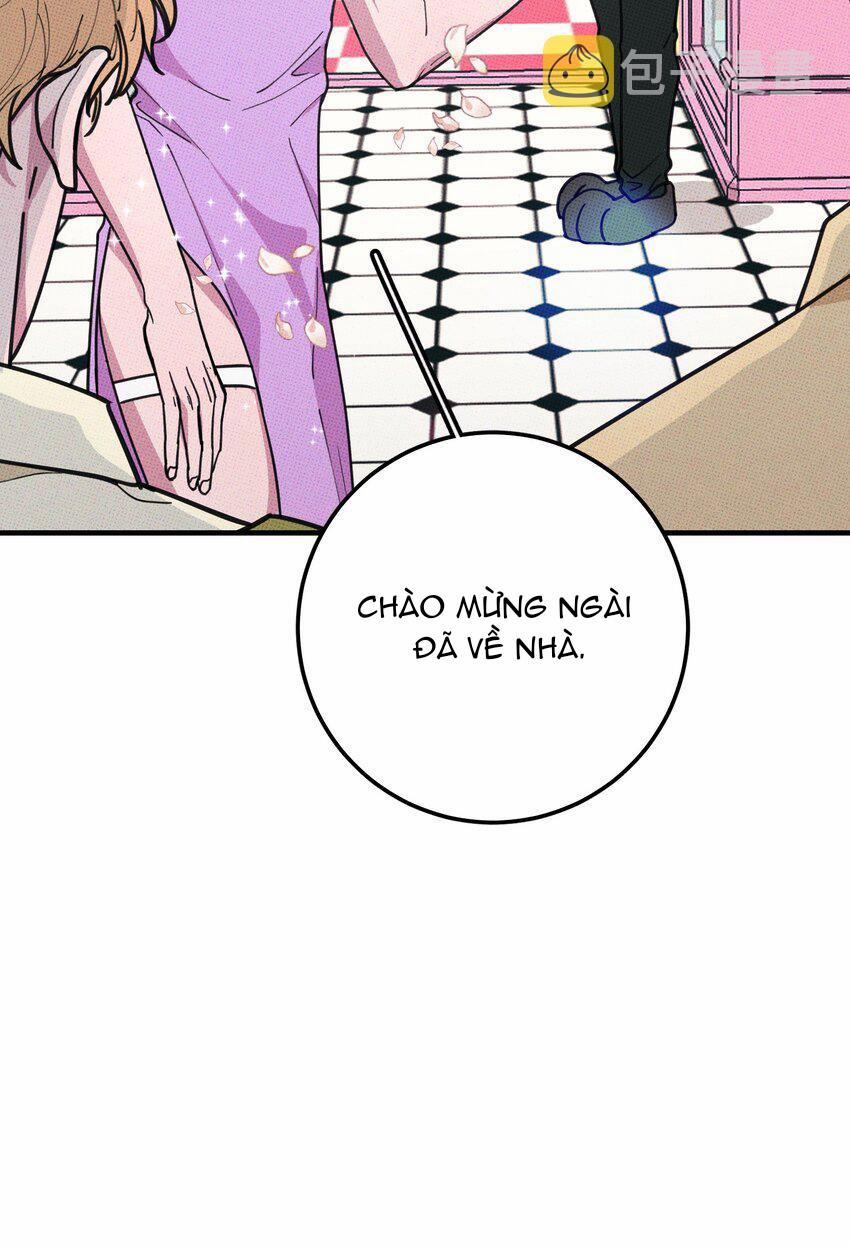 Hộp Bánh Quy Định Mệnh 14 trang 42