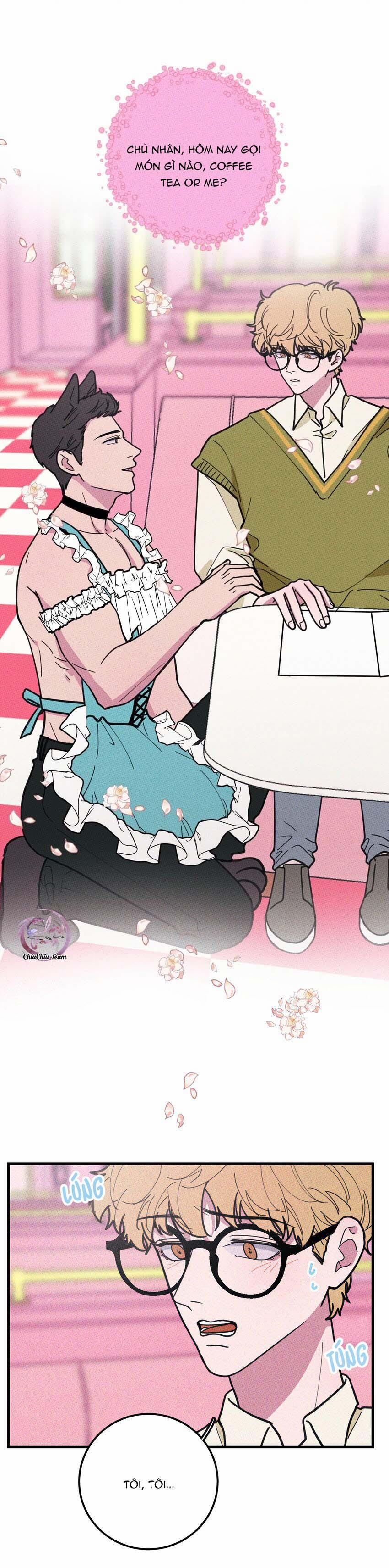 Hộp Bánh Quy Định Mệnh 15 trang 12