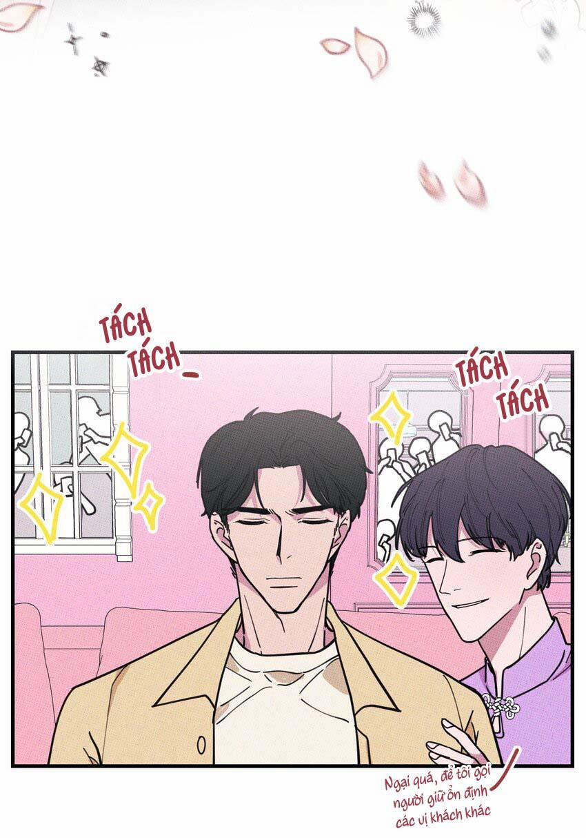 Hộp Bánh Quy Định Mệnh 15 trang 21