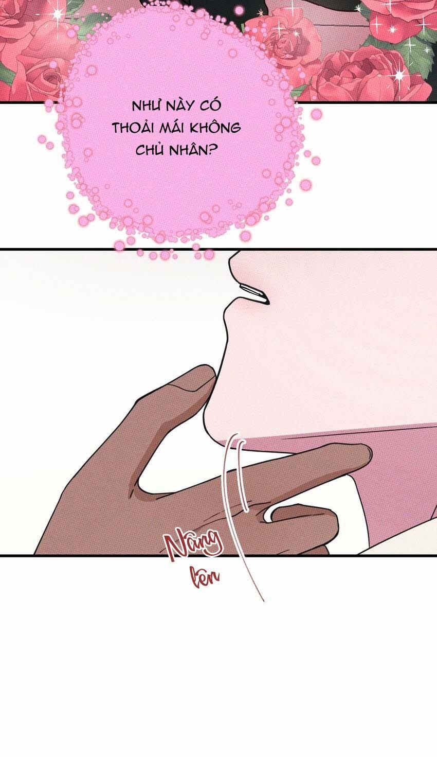 Hộp Bánh Quy Định Mệnh 15 trang 27