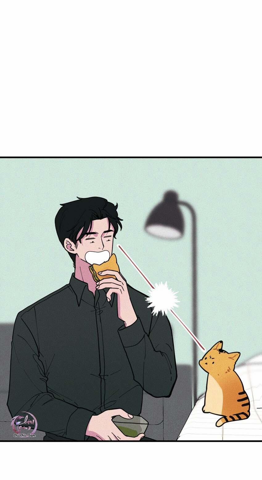 Hộp Bánh Quy Định Mệnh 17 trang 12