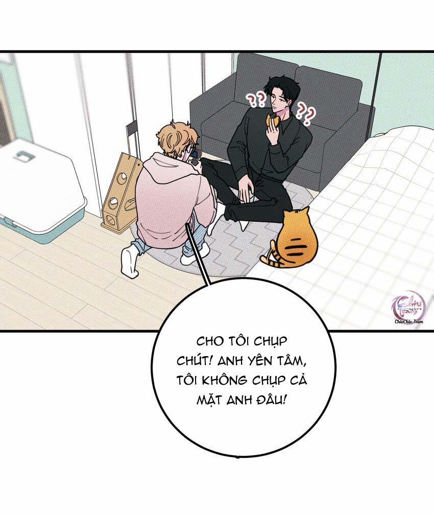 Hộp Bánh Quy Định Mệnh 17 trang 14