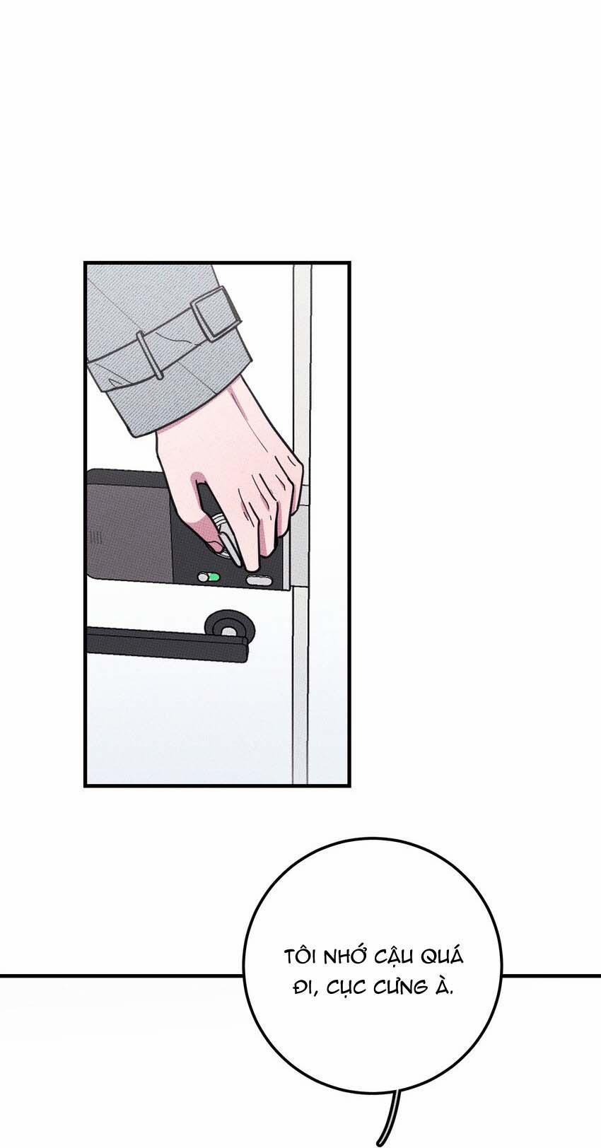 Hộp Bánh Quy Định Mệnh 17 trang 24