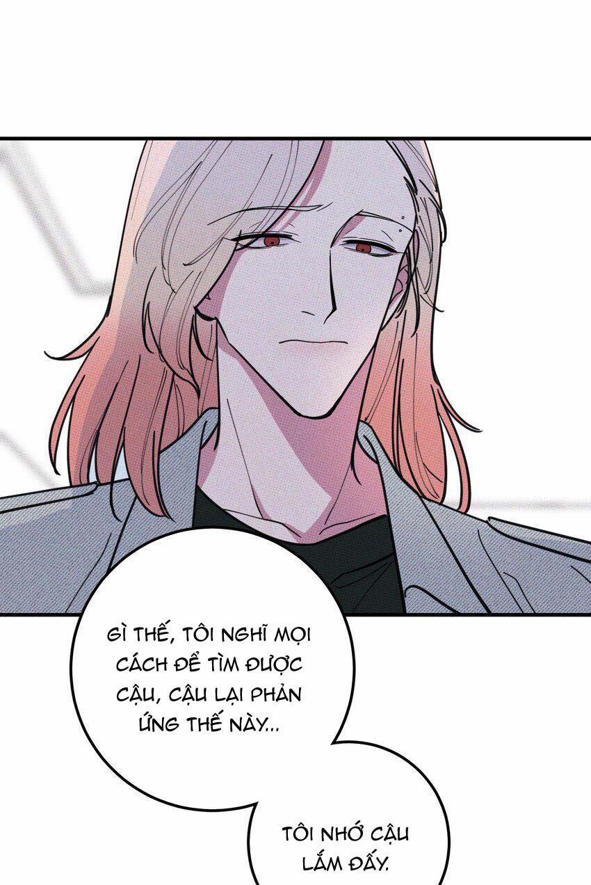 Hộp Bánh Quy Định Mệnh 17 trang 29