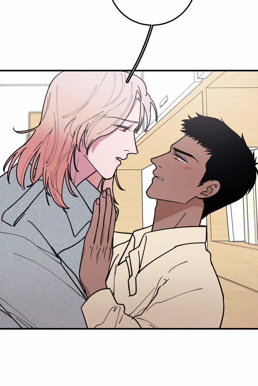 Hộp Bánh Quy Định Mệnh 17 trang 30