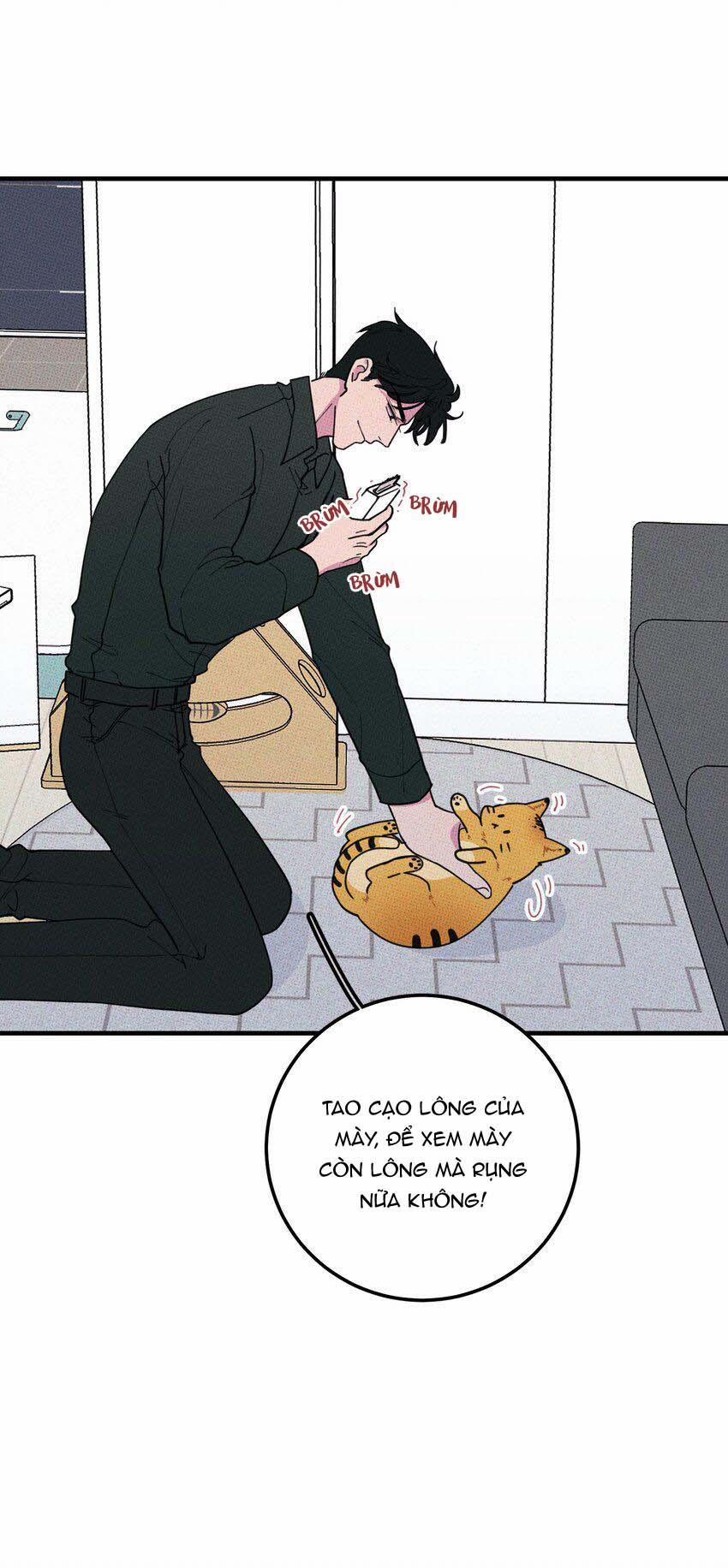 Hộp Bánh Quy Định Mệnh 17 trang 4