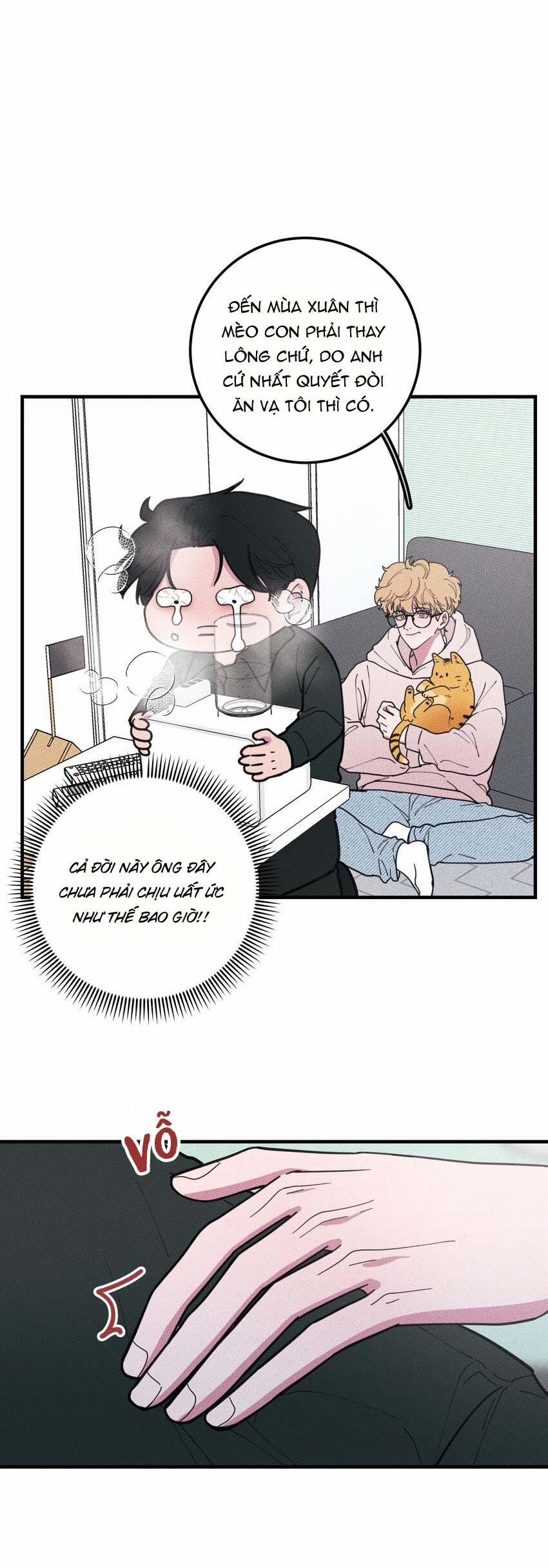 Hộp Bánh Quy Định Mệnh 17 trang 9