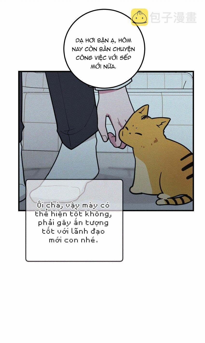 Hộp Bánh Quy Định Mệnh 18 trang 36