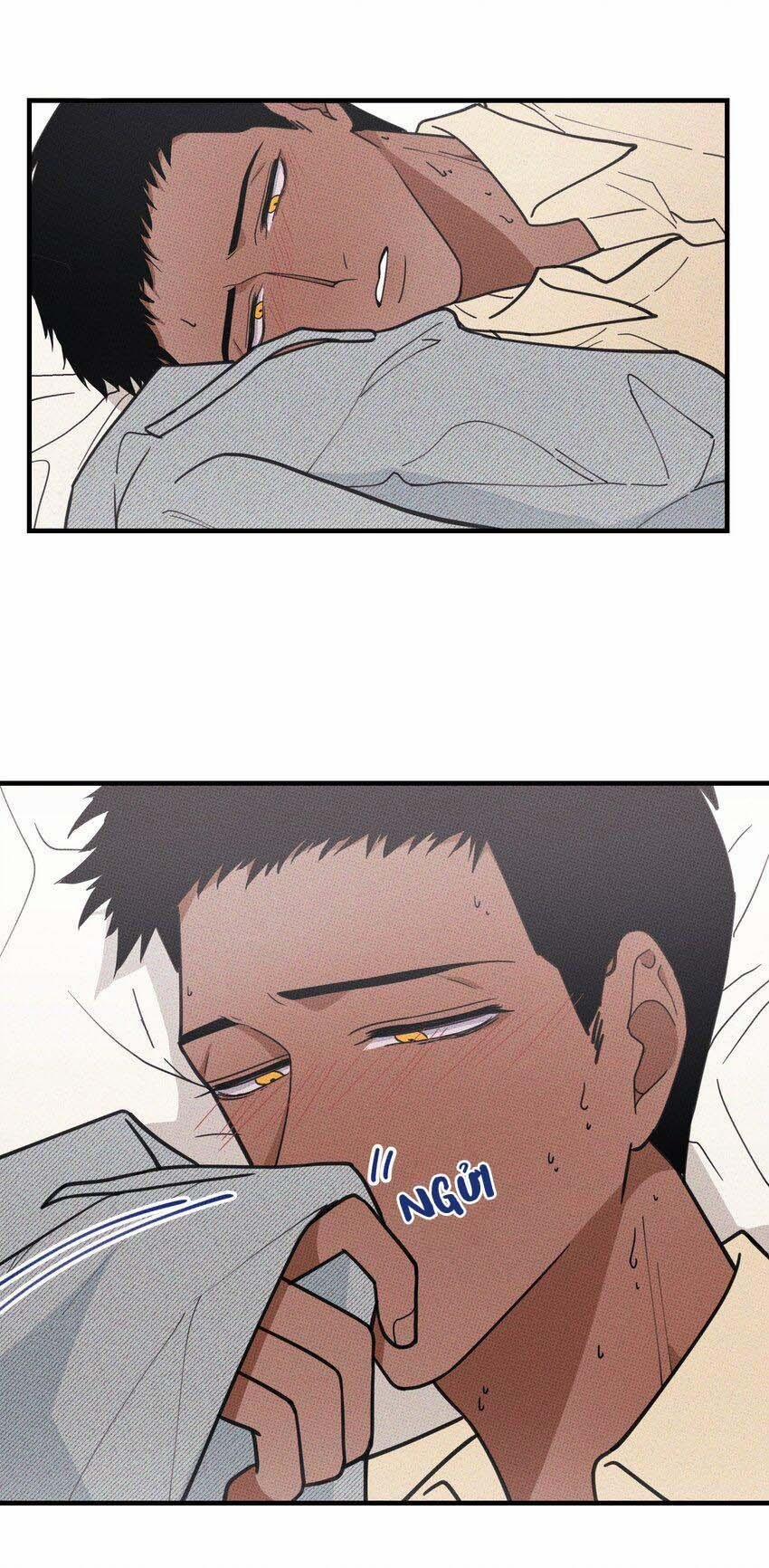 Hộp Bánh Quy Định Mệnh 18 trang 5