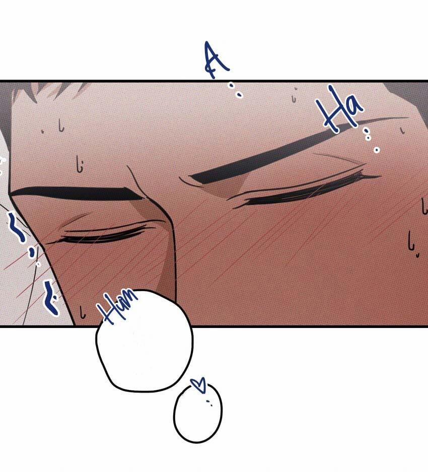 Hộp Bánh Quy Định Mệnh 18 trang 6