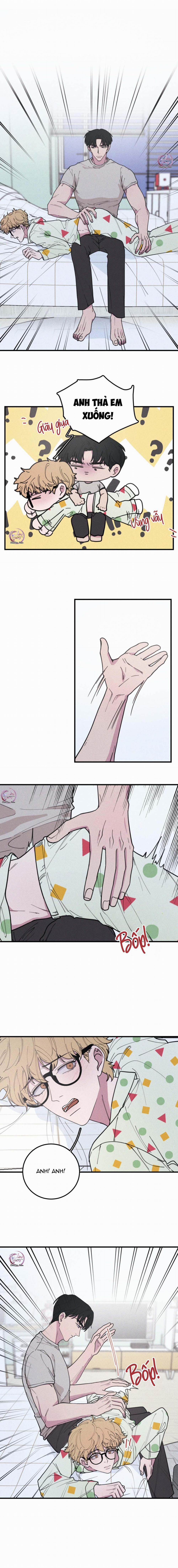 Hộp Bánh Quy Định Mệnh 20.1 trang 3