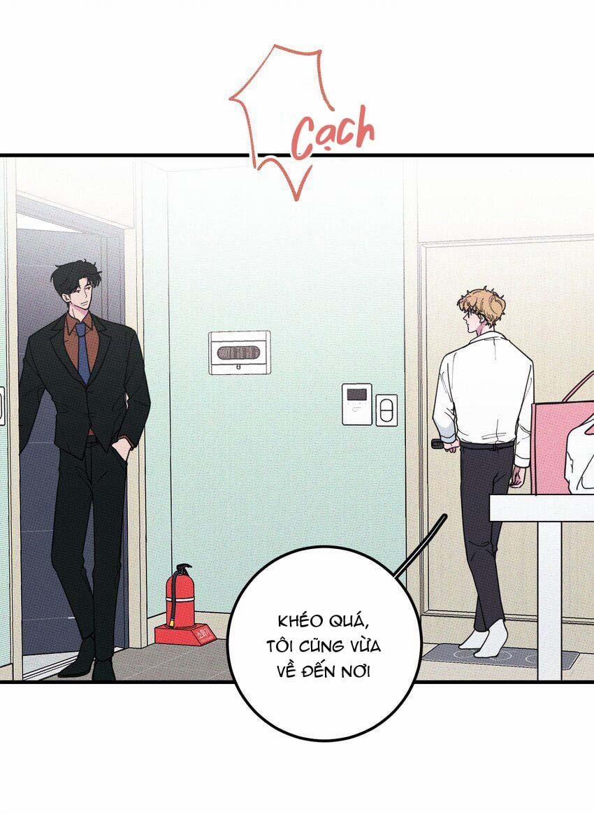 Hộp Bánh Quy Định Mệnh 20 trang 19