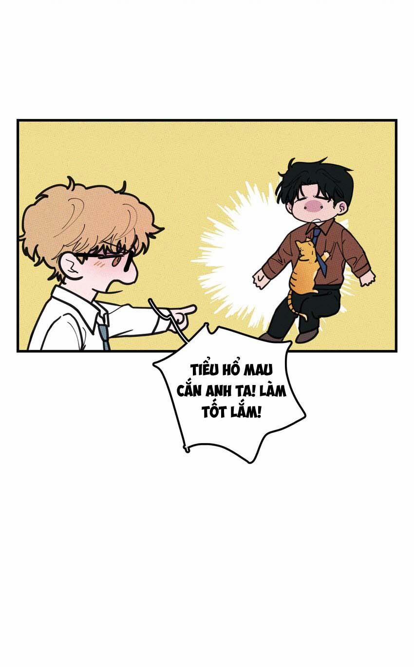 Hộp Bánh Quy Định Mệnh 20 trang 31