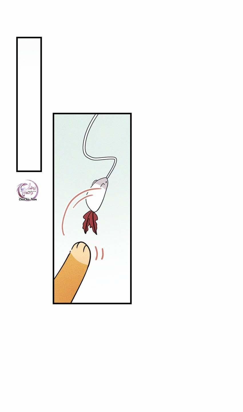 Hộp Bánh Quy Định Mệnh 20 trang 40