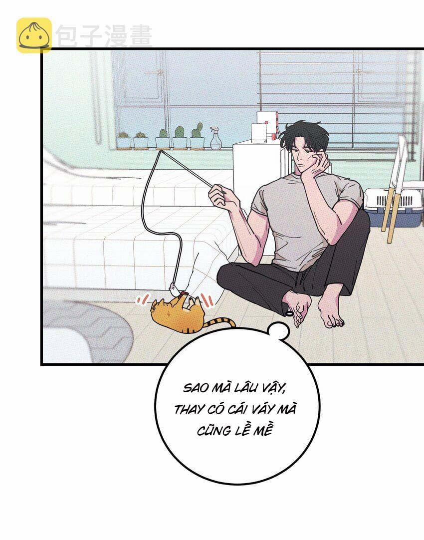 Hộp Bánh Quy Định Mệnh 20 trang 41