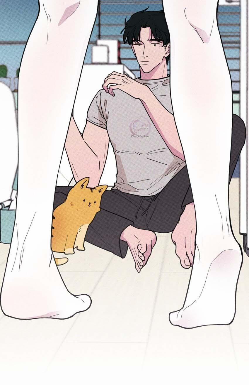 Hộp Bánh Quy Định Mệnh 20 trang 43