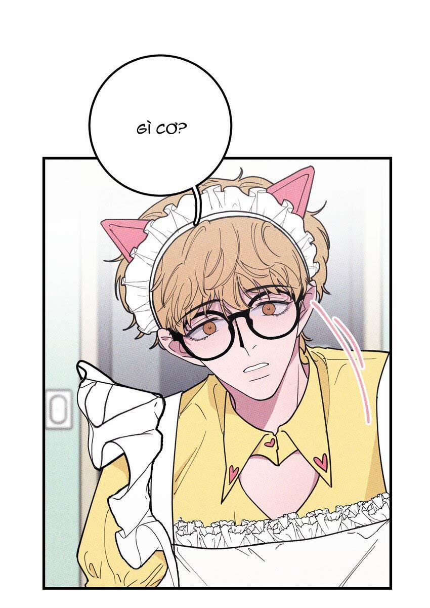 Hộp Bánh Quy Định Mệnh 21 trang 15