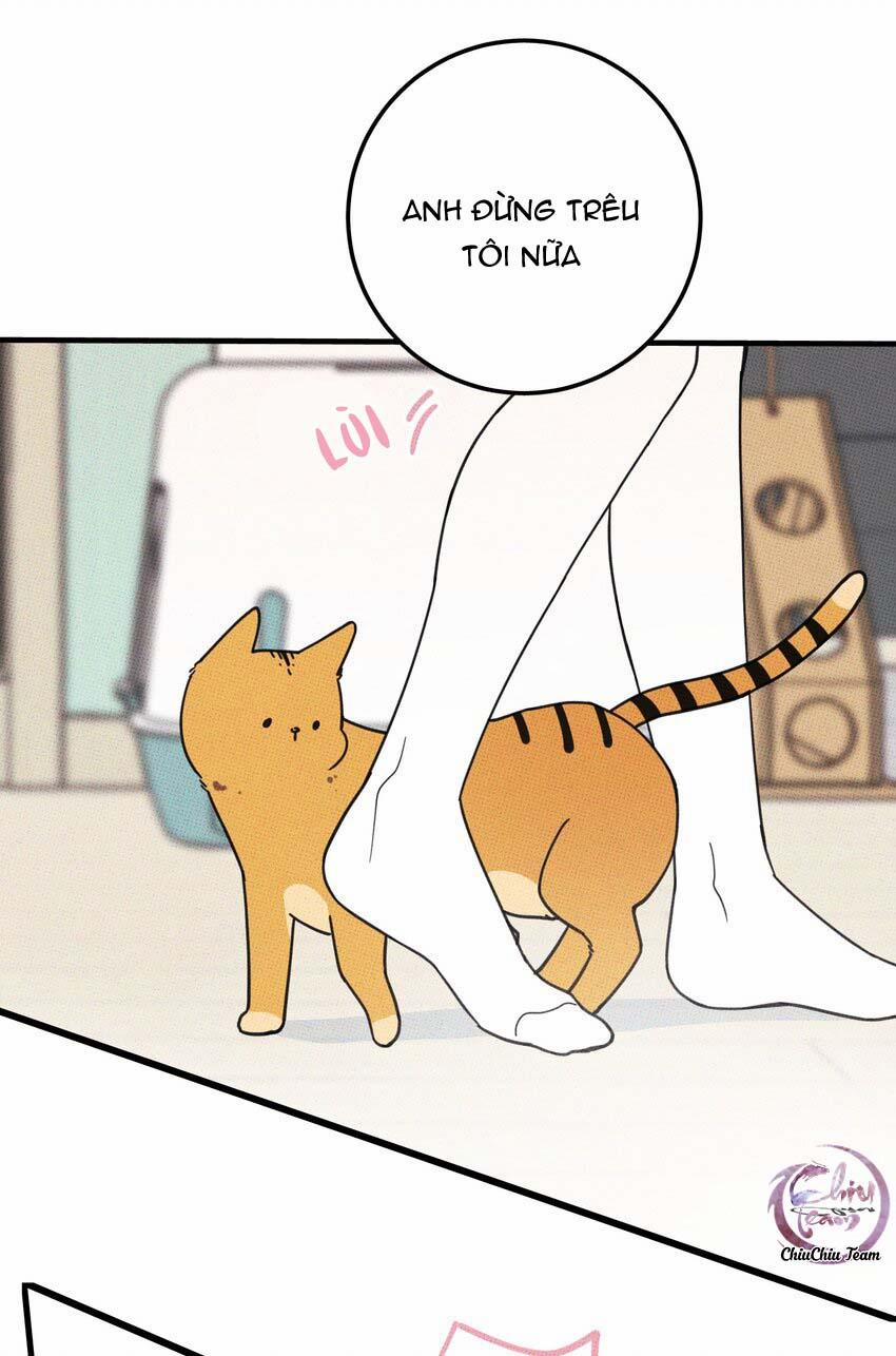 Hộp Bánh Quy Định Mệnh 21 trang 16