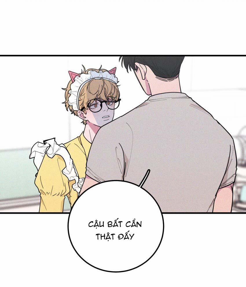 Hộp Bánh Quy Định Mệnh 21 trang 32