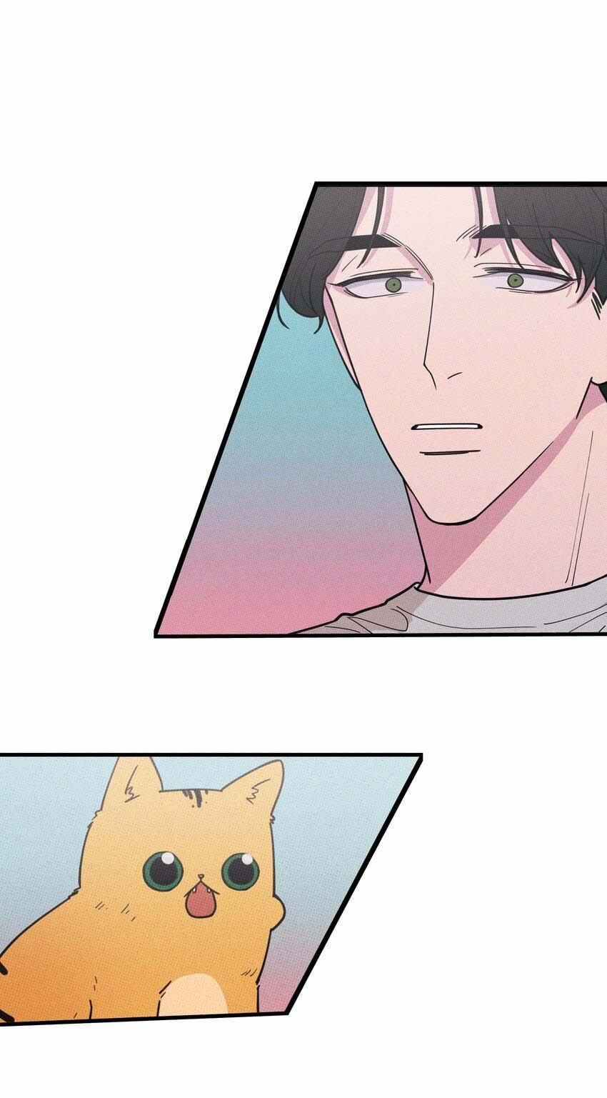 Hộp Bánh Quy Định Mệnh 21 trang 5