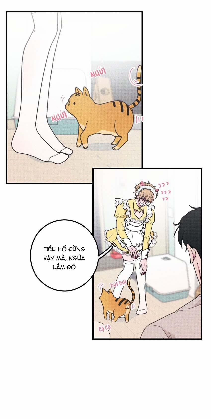 Hộp Bánh Quy Định Mệnh 21 trang 7