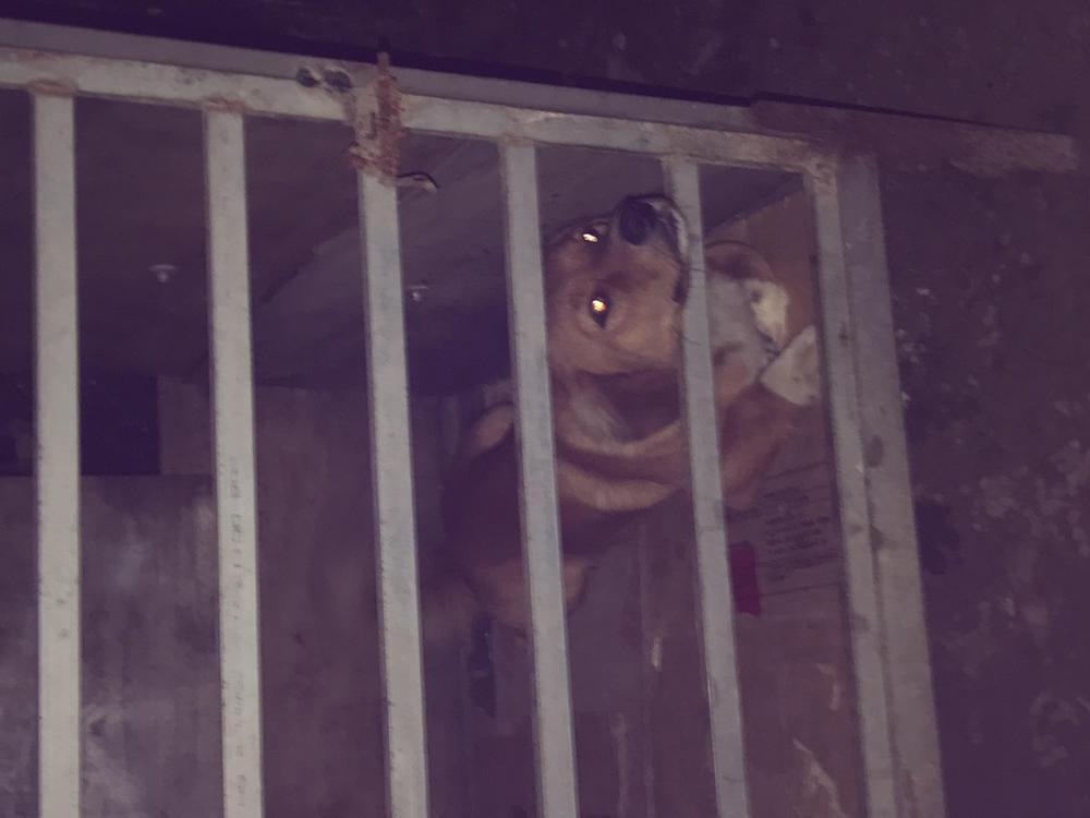 Hộp Bánh Quy Định Mệnh 22 trang 0