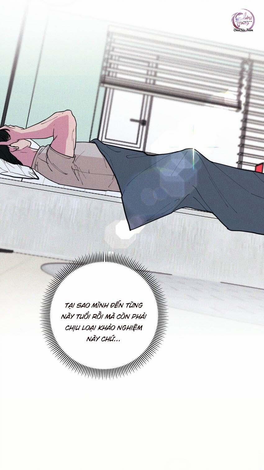 Hộp Bánh Quy Định Mệnh 22 trang 5