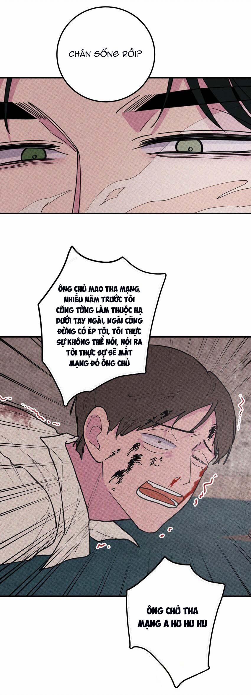 Hộp Bánh Quy Định Mệnh 23 trang 20