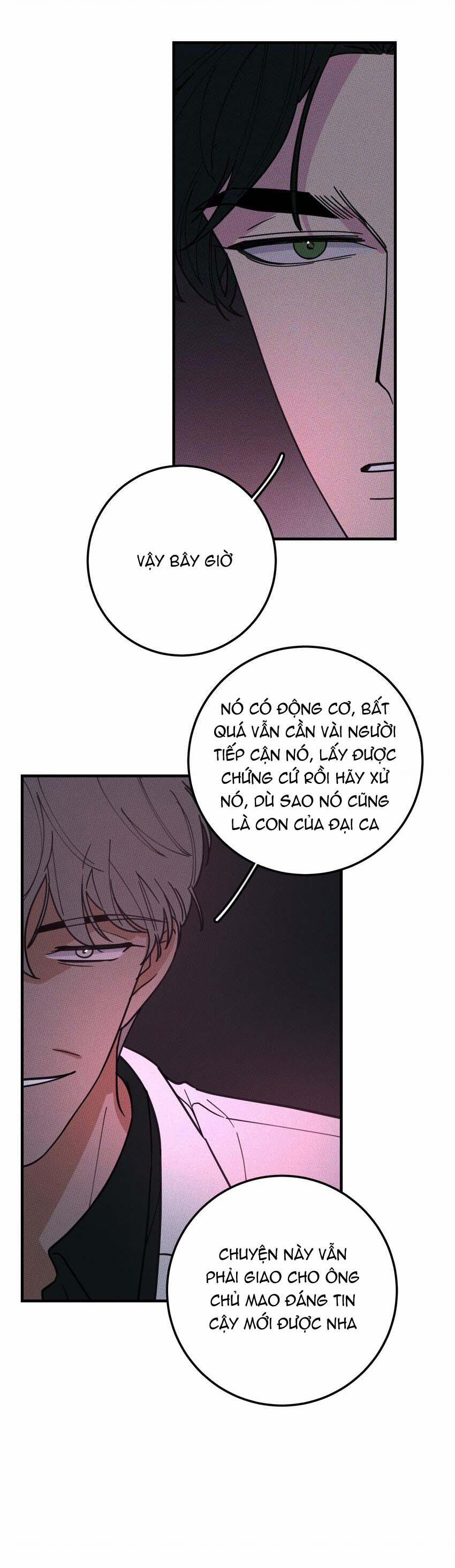 Hộp Bánh Quy Định Mệnh 25 trang 27