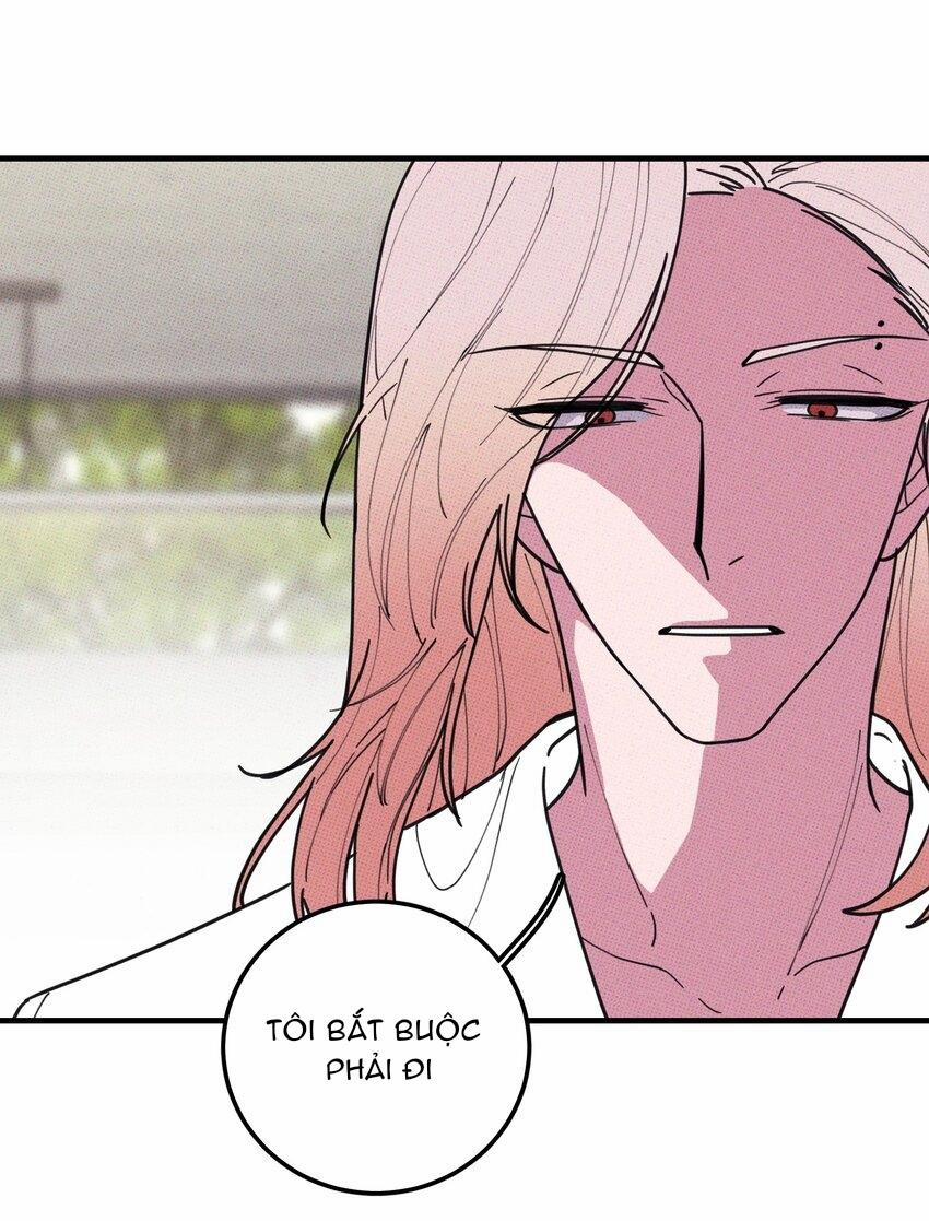 Hộp Bánh Quy Định Mệnh 27 trang 10